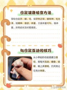 正确养仓鼠的方法_选对安全笼子，专用粮加新鲜蔬果，勤换垫料，温柔互动，科学养出健康快乐小仓鼠