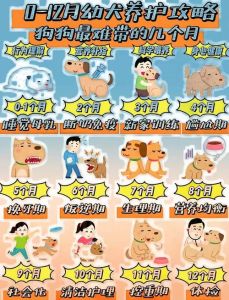 幼犬一般几天认主人_3周龄嗅记主，5-8周关键期认主，互动建立信任！