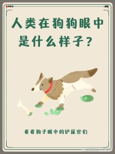 在狗狗眼中的主人长相_辨色能力有限，轮廓清晰，靠感官和爱认主人