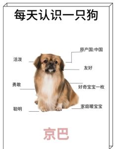 一家人狗会认谁当主人_狗狗最爱的人不是谁，而是谁最疼它！