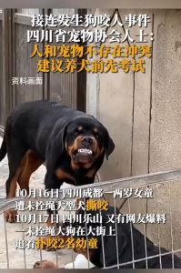 狗咬人只赔2000算讹人吗_遛狗不牵绳惹事端，狗咬人赔偿引争议！