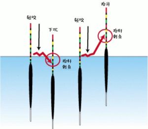 新手钓鱼入门基本知识_19调竿+细线组，掌握调漂与开饵，选对钓点！