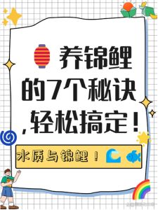 怎么养锦鲤鱼新手入门_养锦鲤选大缸，水质好，少喂食，环境静，耐心养