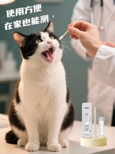 汪喵灵灵AI问诊升级，智能诊断+美团购药，宠物健康一站搞定！