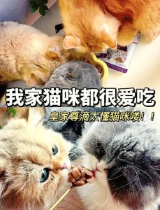 狗猫深夜偷吃，主人突袭，默契装死成功溜走，堪称黄金搭档！