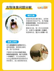 分享一下货车养狗的经验和建议_狗狗能适应货车生活吗？大型犬或更适应，注意安全安抚