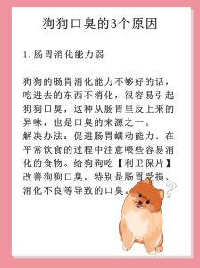 狗狗口臭是怎么回事_狗狗口臭怎么办？饮食清洁是关键！