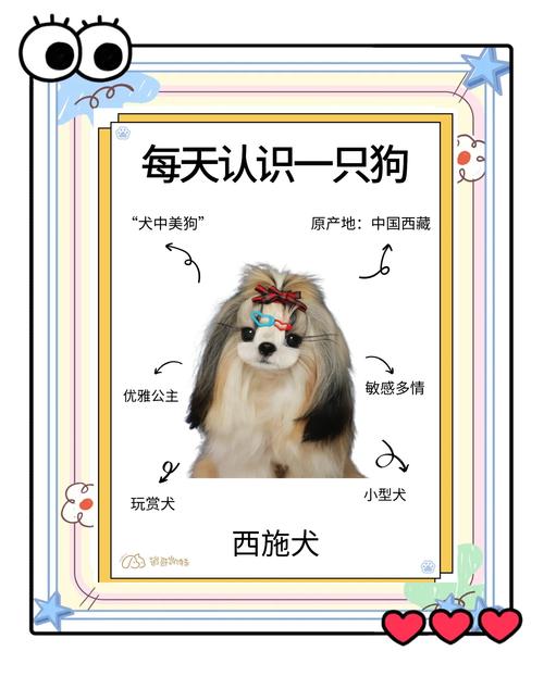 十大最粘人的狗排名_拉布拉多金毛法斗比熊最亲人！