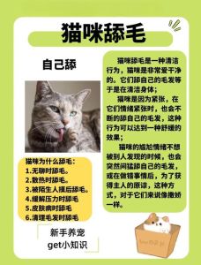 猫咪到处舔是什么原因_猫咪疯狂舔毛？压力健康或无聊原因解析