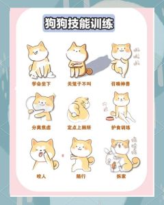 5分钟训练幼犬_新手养狗训练不难，5分钟教会躺下握手，轻松养好幼犬