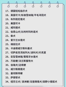 狗狗的智商排名前100_聪明与温顺，哪种更适合你？