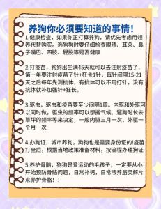 养狗科普知识_清洁饮食训练健康，爱与责任常相伴