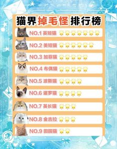 十大不掉毛猫排名_斯芬克斯孟买卷毛等，性格温和，掉毛少！