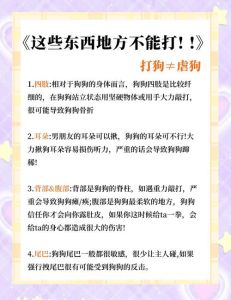 狗狗承认错误接受主人惩罚_狗狗通常不会攻击主人，明白主人是主导者，宁愿忍受惩罚也不愿激怒主人