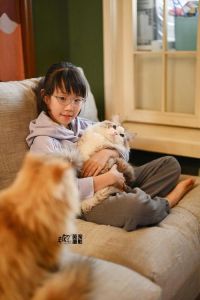 长期和猫狗一起生活的人_养宠物好处多，注意卫生和健康