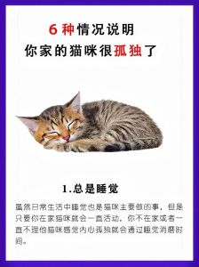 猫长期一个人在家会抑郁吗_长期独自在家，猫咪会抑郁吗？