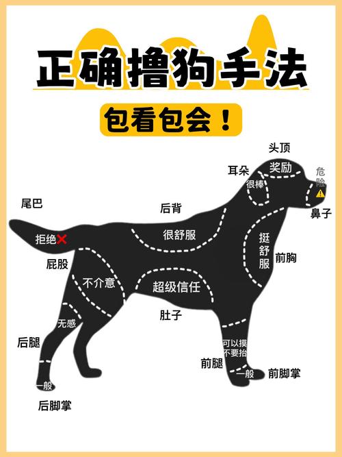 主人跟小狗圈内叫什么_daddy和小狗网络含义多样，或指宠物昵称，或特定社群称谓，理解需结合语境