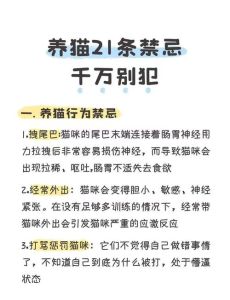 属龙的人不适合养猫_性格差异与生肖文化解读
