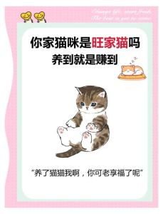 三只猫是聚财还是破财_三只猫咪是招财还是破财？养猫与财运的探讨