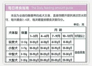 狗狗几点喂食比较好_狗狗喂食时间怎么定？看年龄和状态灵活喂！