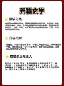 属鸡养猫会带来什么运气_属鸡养猫招财增温暖，但需考虑个人情况，谨慎选择