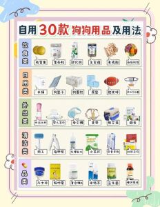 小狗寄养都要准备啥_带小狗寄养，备好物品，选好地方，别超5天！