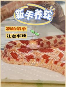 蟒蛇能养出感情吗_蟒蛇无情感，本能驱动行为，养蛇需理性认识