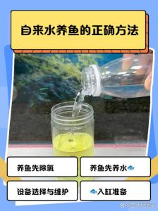 养鱼窍门_打造鱼儿健康生态家园