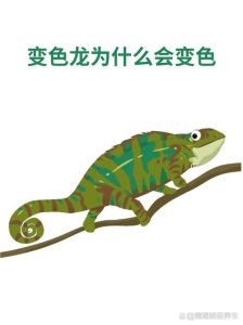 变色龙为什么不叫变色蜥蜴_变色龙是蜥蜴的一种，能变色，主要生活在树上