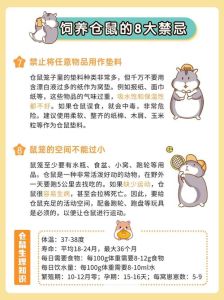 养仓鼠好不好_养只仓鼠，轻松解压，干净好打理！