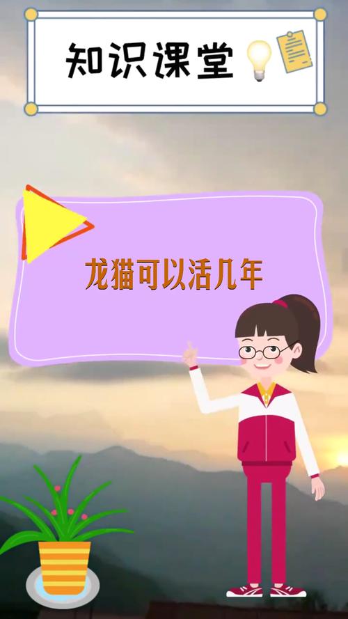 龙猫可以活多少岁_长寿龙猫怎么养？饮食清洁环境全攻略