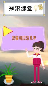 龙猫可以活多少岁_长寿龙猫怎么养？饮食清洁环境全攻略