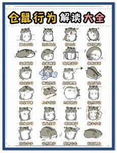 仓鼠资料介绍_中国有八种，宠物有黄金鼠坎培尔等