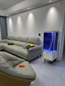 客厅放鱼缸好不好_招财添福，选对位置和形状