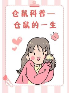 小仓鼠的寿命是多少_小仓鼠寿命多久？品种与养护影响大！