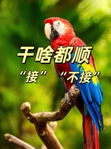 鹦鹉送人会把财气送走吗_送鹦鹉祝福好，旺家添情，养好需注意！