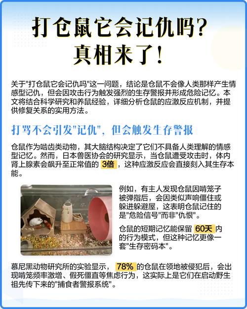 打仓鼠他会记仇吗_别打骂仓鼠了，它们不记仇但会害怕，会被吓坏