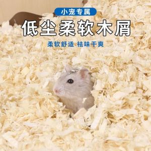 豚鼠用不用木屑可以吗_垫料饮食环境要点