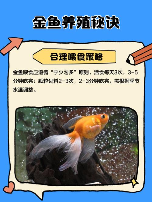 凉白开水能养金鱼吗_别用凉白开养金鱼，易缺氧生病，用晾晒水更佳！