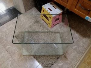 鱼缸底面裂了_鱼缸底部裂了？小修补大加固，保鱼儿安全！