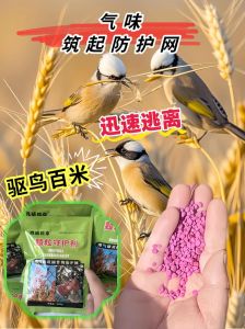 佛山顺德鸟屎雨，家燕迁徙致，官方支招防鸟粪