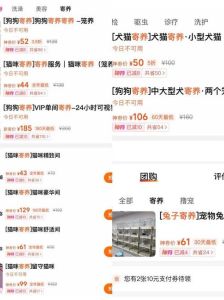 春节大连宠物寄养火爆，小宠也难求！