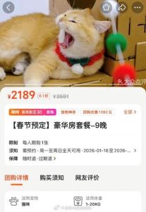 春节宠物寄养火爆，大连一位难求！