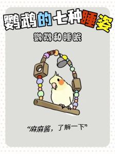 鹦鹉不关灯能睡吗_关灯睡觉，鹦鹉健康秘诀