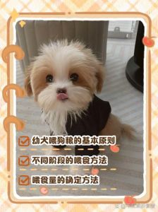 养狗场喂狗最实惠方法_养狗省钱又健康，营养配比是关键！