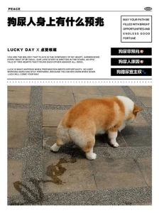 在家狗狗尿急不会找主人_狗狗尿急怎么办？幼犬常见原因与改善方法