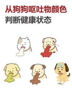 狗臭是什么原因_狗狗体味大？洗澡梳毛勤护理！