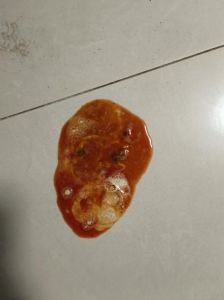 幼犬吐了黄黄粘稠液体_幼犬吐黄水？快查原因及时就医！