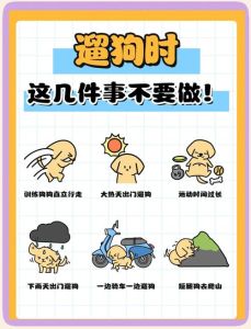 大型犬遛狗注意事项_天气牵引安全要点