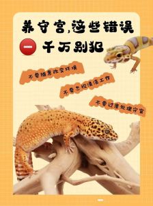 壁虎会躲在人类储物柜吗_壁虎是益虫，常在阴暗处捕食害虫，与人类和谐共存